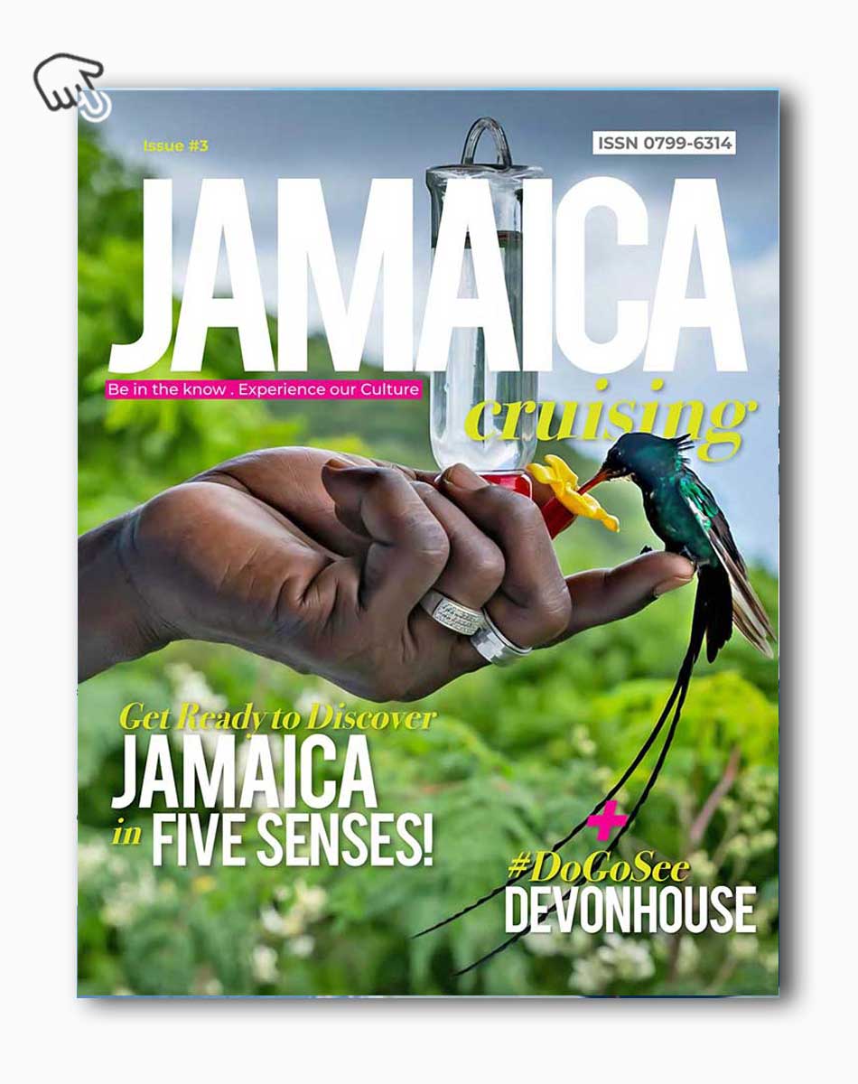 Jamaica Cruising Newsletter Issue #3